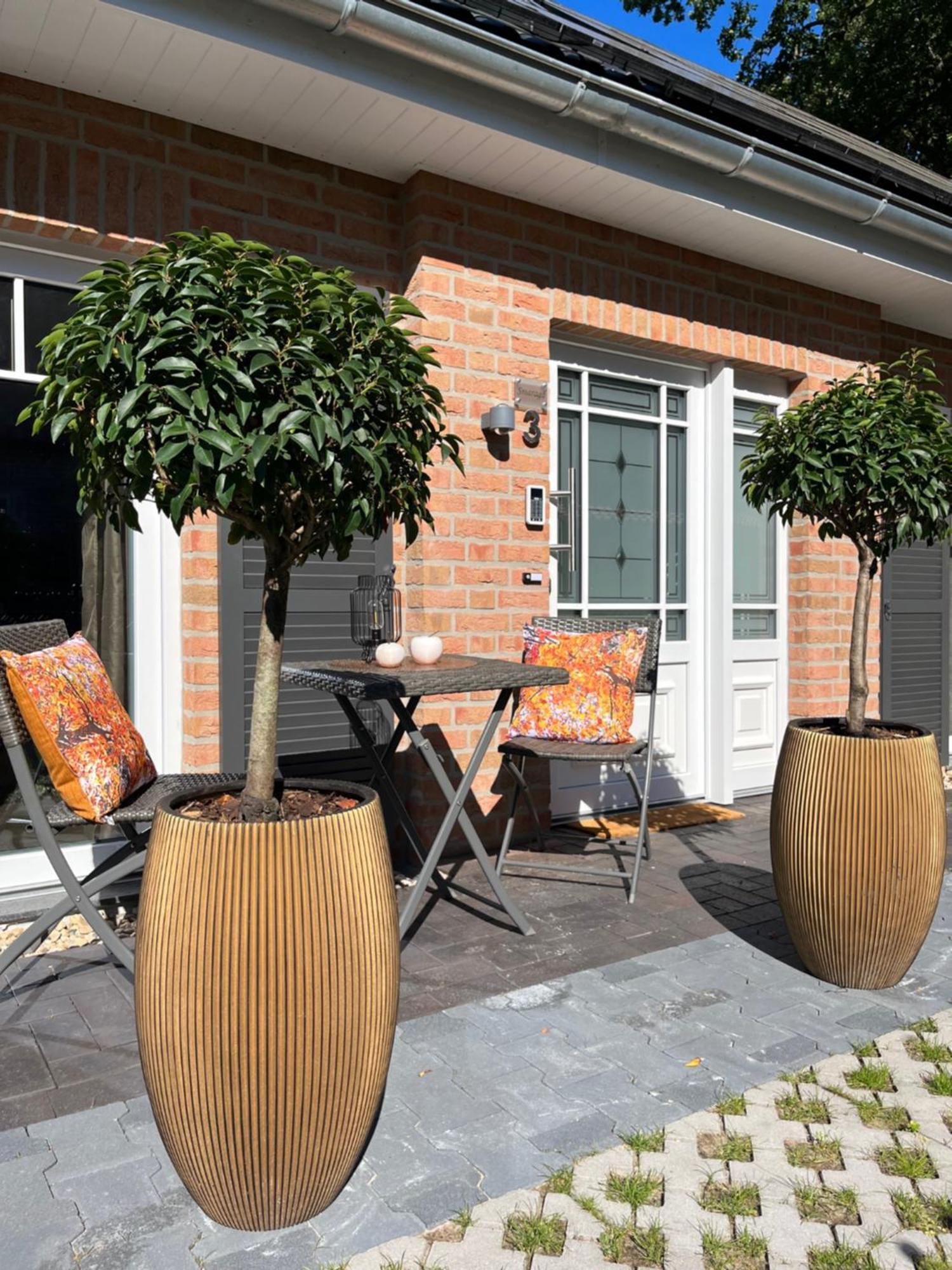 באד צווישנהם Amazonas Lounge 250 M Vom Spielcasino Entfernt, Meerblick Von Der Terrasse Aus Im Boutiqe Hotel Stil מראה חיצוני תמונה